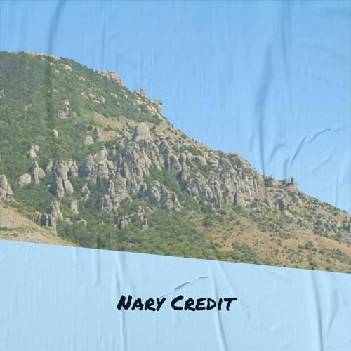 Nary Credit