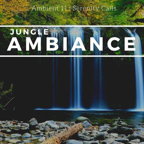 Jungle Ambiance