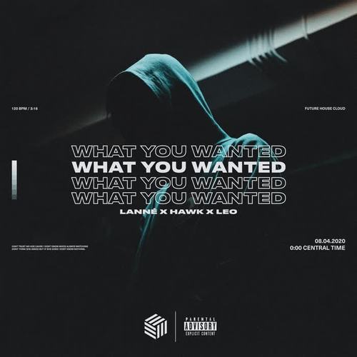 What You Wanted (Explicit)