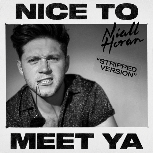 Nice To Meet Ya (Stripped Version)