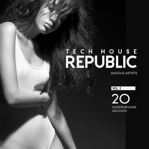 Tech House Republic (20 Underground Grooves) , Vol. 3