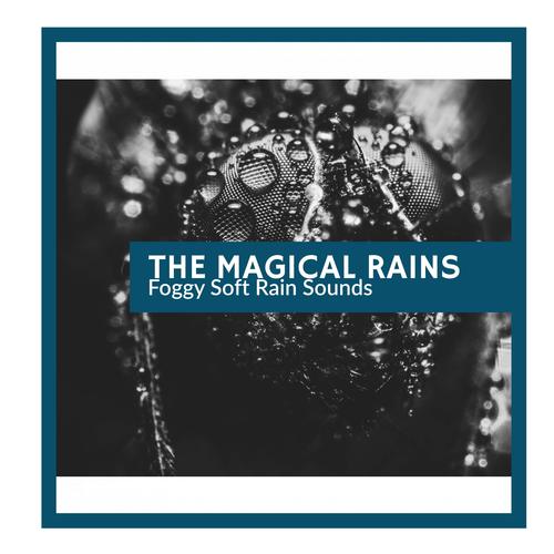 The Magical Rains - Foggy Soft Rain Sounds