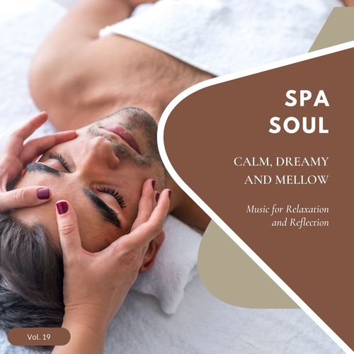 Spa Soul - Calm, Dreamy And Mellow Music For Relaxation And Reflextion, Vol. 19