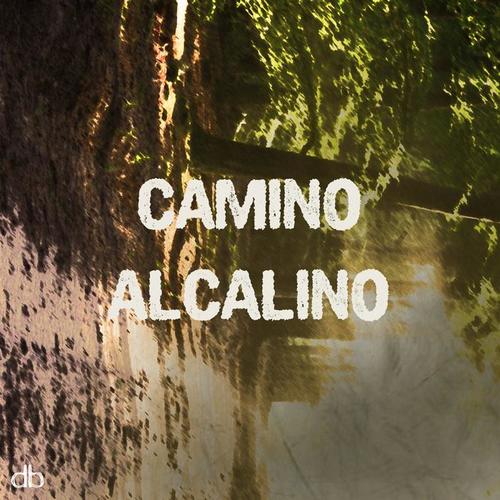 Camino Alcalino