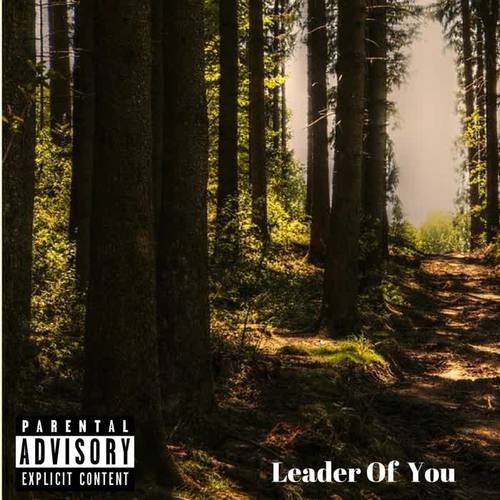 Leader Of You (feat. Pronoun KingPin) [Explicit]