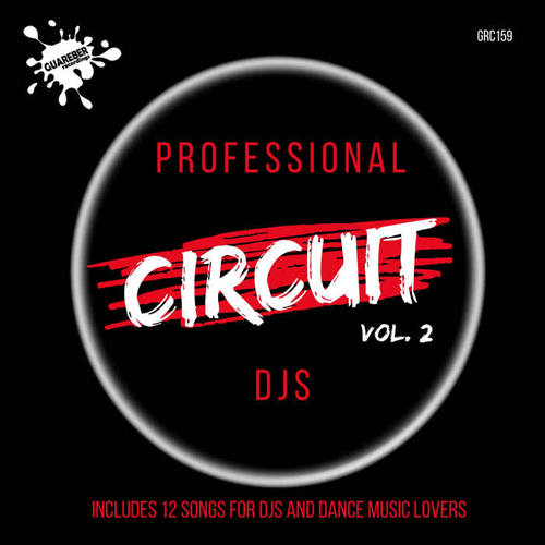 Professional Circuit Djs Compilation, Vol. 2