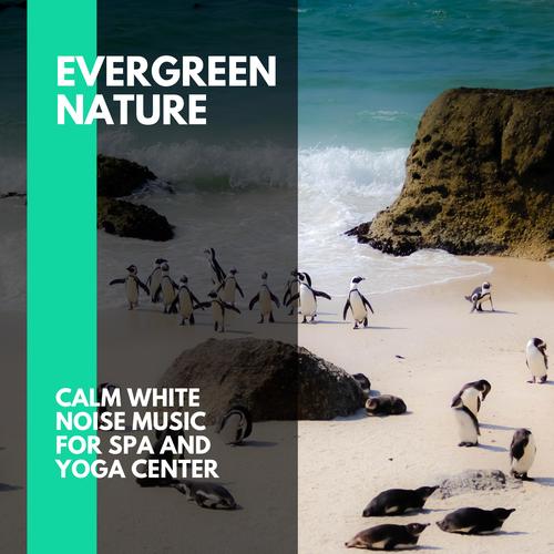 Evergreen Nature - Calm White Noise Music for Spa and Yoga Center