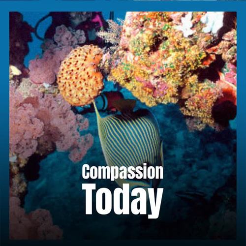 Compassion Today