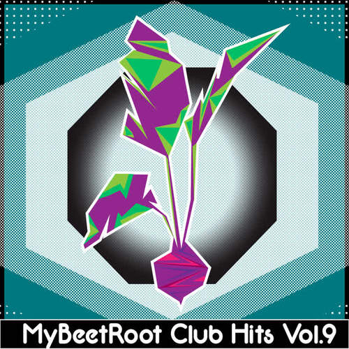 MyBeetRoots Club Hits, Vol. 9