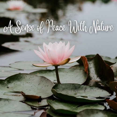 A Sense of Peace With Nature