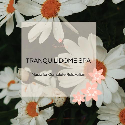 Tranquilidome Spa - Music For Complete Relaxation