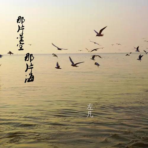 那片星空 那片海