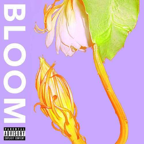 BLOOM (Explicit)