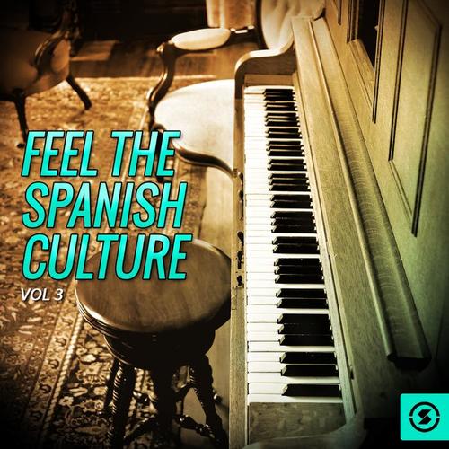 Feel The Spanish Culture, Vol. 3