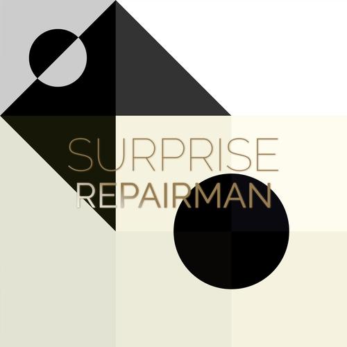 Surprise Repairman