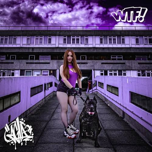 WTF (feat. StreetSound) [Explicit]