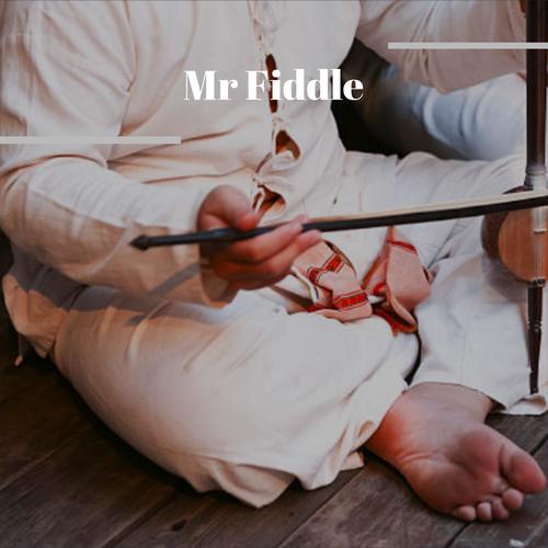 Mr Fiddle