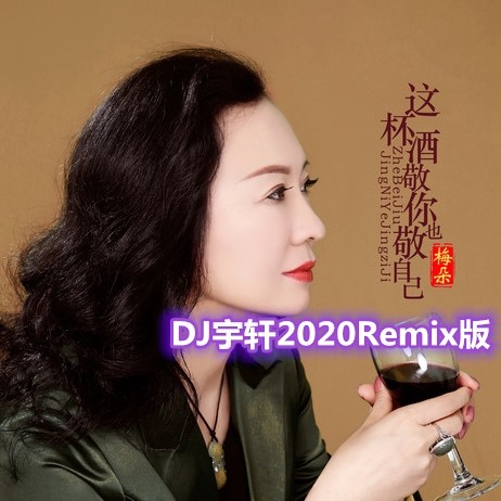 这杯酒敬你也敬自己(DJ宇轩2020Remix版)