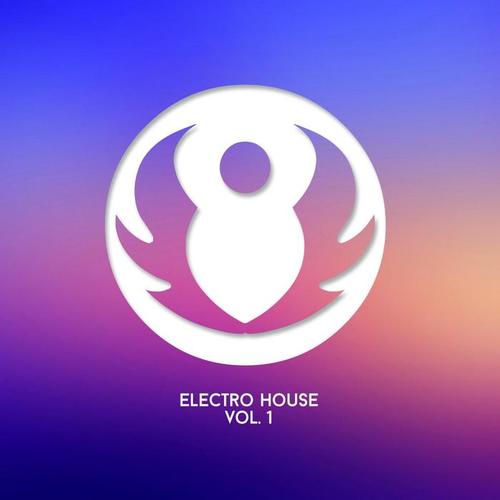 Electro House, Vol. 1