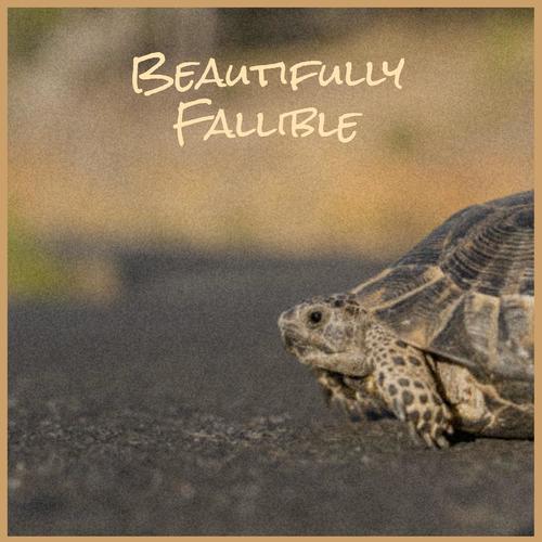 Beautifully Fallible