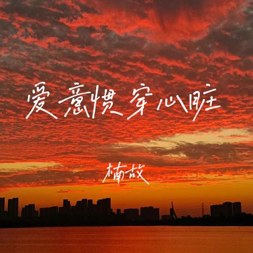 爱意惯穿心脏