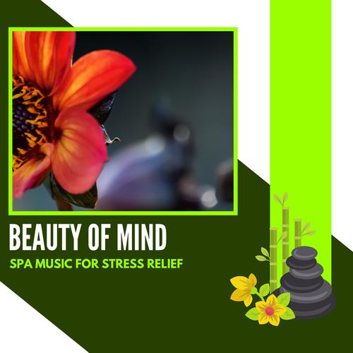 Beauty Of Mind - Spa Music For Stress Relief