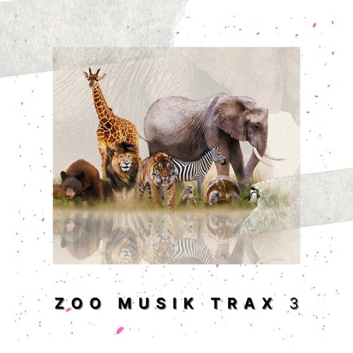 Zoo Musik Trax 3