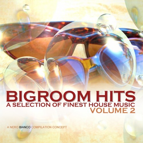 Bigroom Hits, Vol. 2