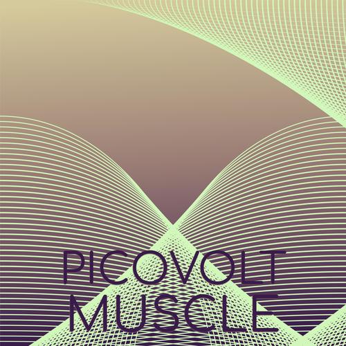 Picovolt Muscle