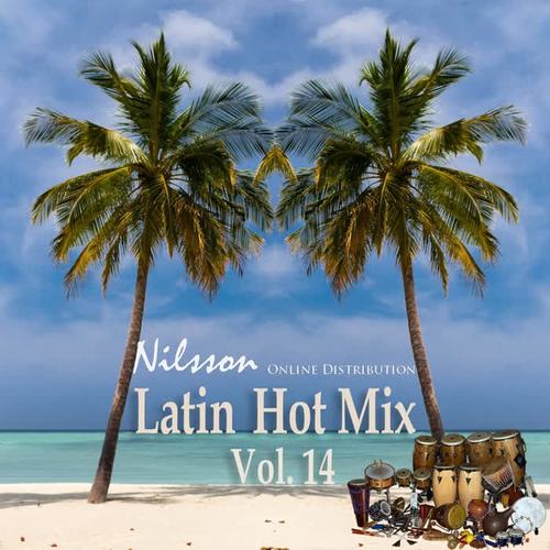 Latin Hot Mix, Vol. 14