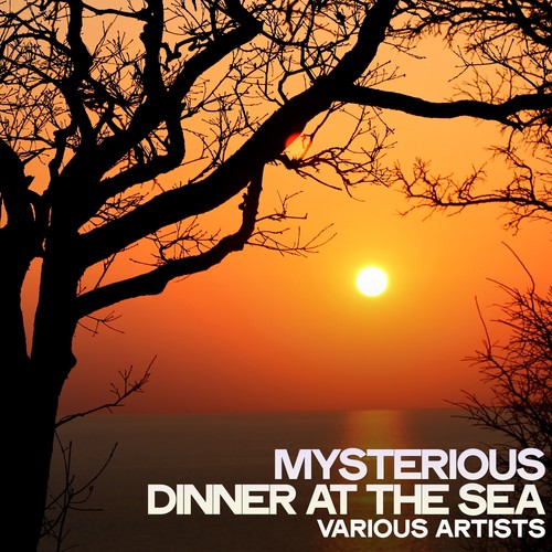 Mysterious Dinner at the Sea