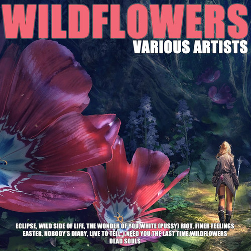 Wildflowers (Explicit)