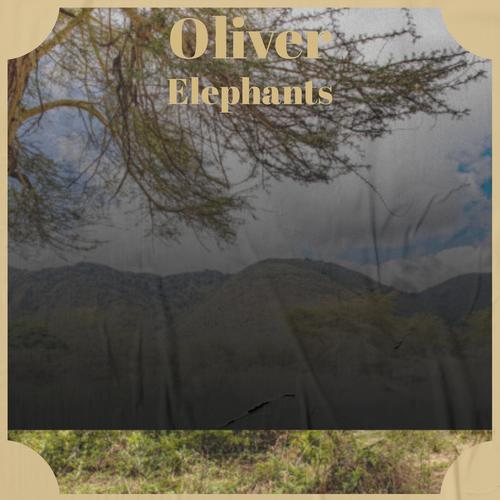 Oliver Elephants