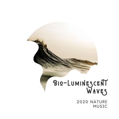 Bio-Luminescent Waves - 2020 Nature Music