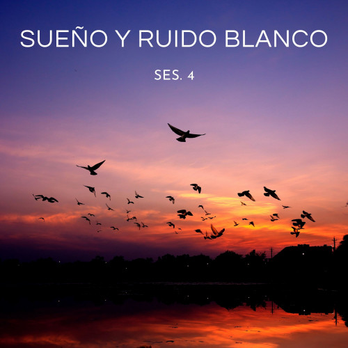 Sueño y Ruido Blanco Ses. 4