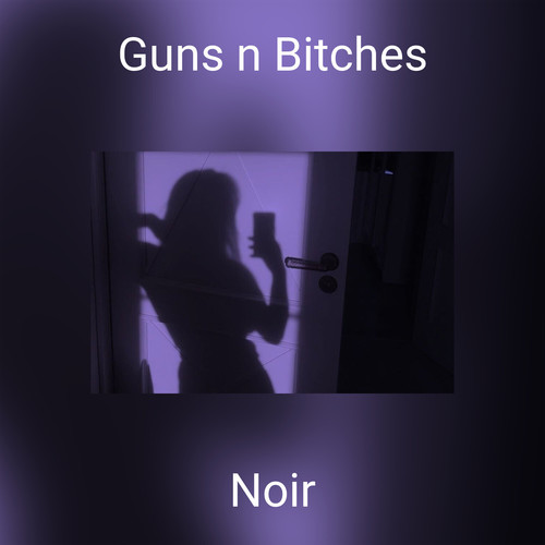 Guns n Bitches (Explicit)