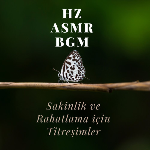 Hz, ASMR, BGM (Sakinlik ve Rahatlama için Titreşimler)