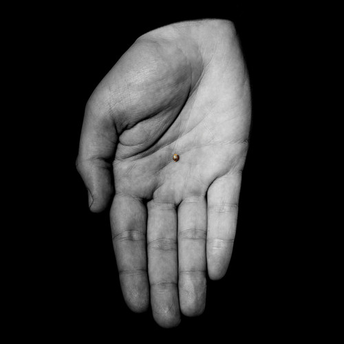 The Seed (Explicit)