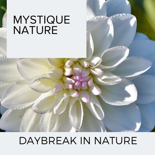 Mystique Nature - Daybreak in Nature