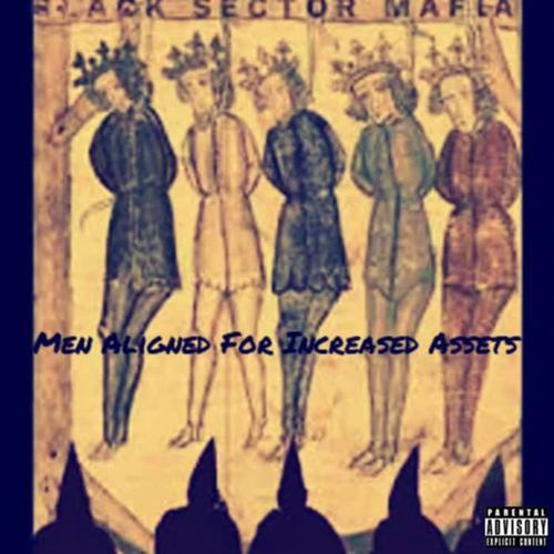 BSM, Vol. 1 (Men Aligned for Increased Assets) (Explicit)