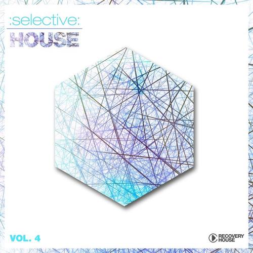 Selective: House Vol. 4