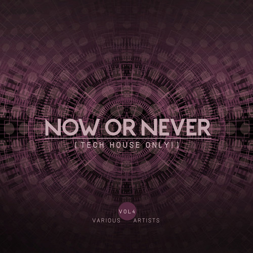 Now Or Never, Vol. 4 (Tech House ONLY!)