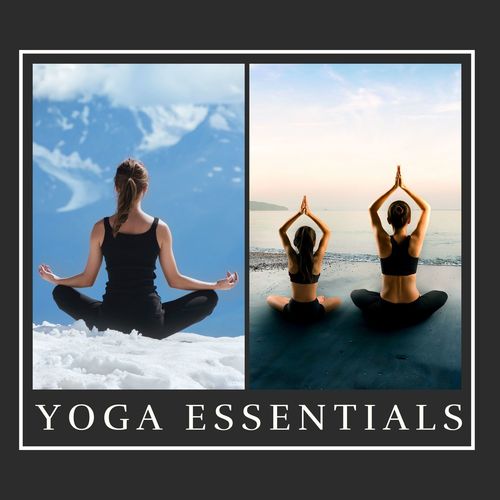 Yoga Essentials