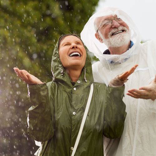 Swedish Rain and Birds