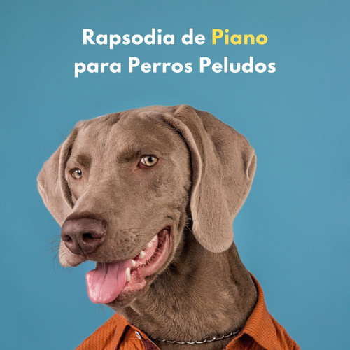 Rapsodia De Piano Para Perros Peludos