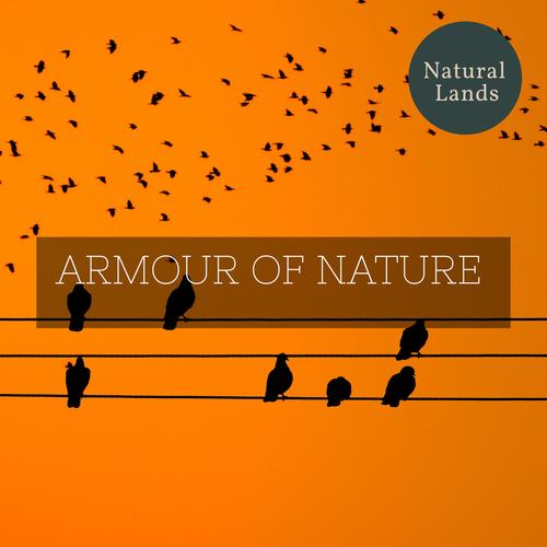 Armour of Nature