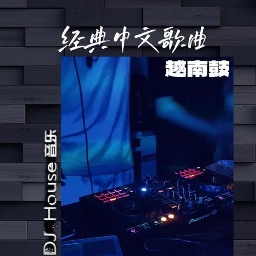 经典中文弹鼓专辑(DJ House)