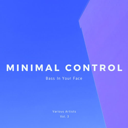 Minimal Control (Bass In Your Face) , Vol. 3