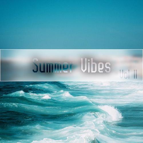 Summer Vibes Vol, 11