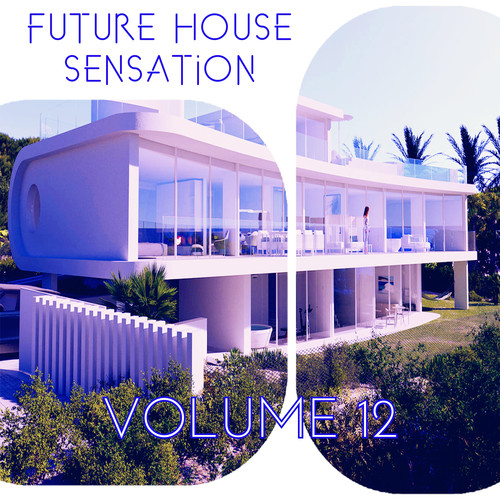 Future House Sensation, Vol.12